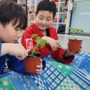 합기도 을지관 총본관 이미지