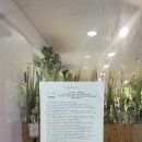 위드멍 애견유치원 이미지