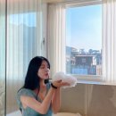 팔레드군산