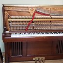 우신상회 이미지