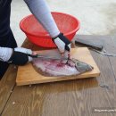 빈이네민박 이미지