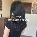 [천안]숱많은 여자머리 레이어드펌 성공 후기 불당동 미용실 : 오아르헤어