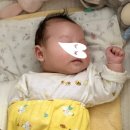 마리야천안신세계점 | 생후 27개월 12일 / 생후 62일 (꿈아띠체험관)