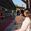 염색에 반하다 이미지