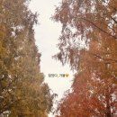 죽동마을 이미지