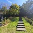 구상나무 화장실 이미지