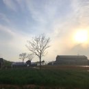 배꼽있는배 농원