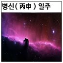 33.병신(丙申)일주 분석 이미지