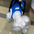 봉하마을 진영생태문화공원 이미지