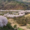 거창-고제-10 이미지