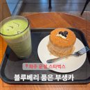 252-운정3-252 | 파주 운정 스타벅스 디저트 단호박리코타샐러드랩 스벅 블루베리품은부생카 케이크