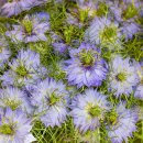 고잠2길 1 이미지