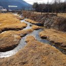 황강식당 이미지