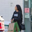 윌리스펫 이미지