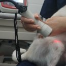 범어동물의료센터 이미지