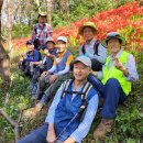 배산성지 이미지