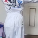 효경희태권도장 네이버블로그