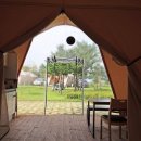 고창갯벌오토캠핑&글램핑 이미지