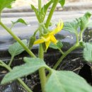 경태농장 이미지