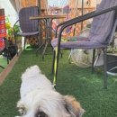 해오름 거진항생선찜 이미지