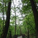 구룡자동차야영장(치악산국립공원) 이미지