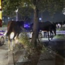 활보농장 이미지