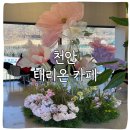 태리펫 | 천안 태리온 카페 다녀왔는데 살짝 2프로 부족한 느낌