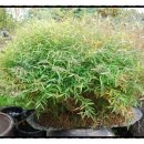 금양농장 이미지