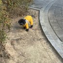 GS25 부경대점 | 피곤에 절은 27세의 1월 일상