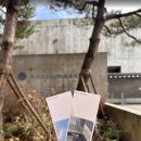 [Review] 제주 아름다움의 본질, 본태박물관 후기