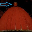 홍정약국 이미지