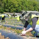 당동2리 이미지