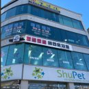 몽글몽글 애견유치원 이미지