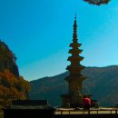청량사 - 1641 | 청량사
