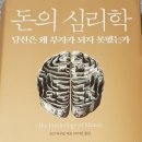 돈의심리학 - 모건 하우절 이미지