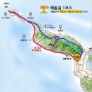 2024년 12월 08일 안산 구봉도 해솔1길 송년산행 이미지