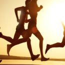 [학점은행제] 운동생리학 이미지