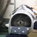 미용하는 남자 이미지