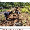 이안농장 이미지