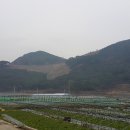 음지리농장 이미지