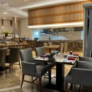 로카와 델피노2 이미지