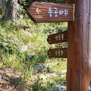 생일면-1 이미지