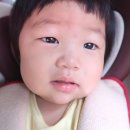 아기모기약 포카우팜 티트리레미디로 안정시켜주세요