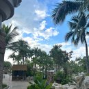 초원파크 | 파타야 센타라 그랜드 미라지 리조트가 인기 있는 이유｜아이와 즐기는 워터파크·프라이빗 비치 후기