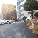 순도리네애견 이미지