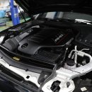 카서비스가든 이미지