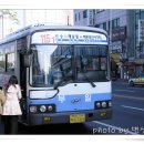 부일여객 이미지