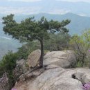 운악산자연휴양림 이미지