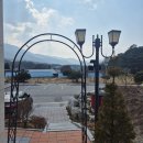 넝쿨 | 장미 아치 넝쿨 지지대 설치 후기 정원 꾸미기 오디가 컴퍼니