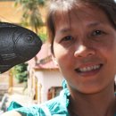 아이언피쉬 이미지